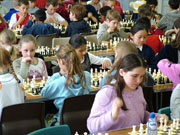 秋思短信轰炸平台